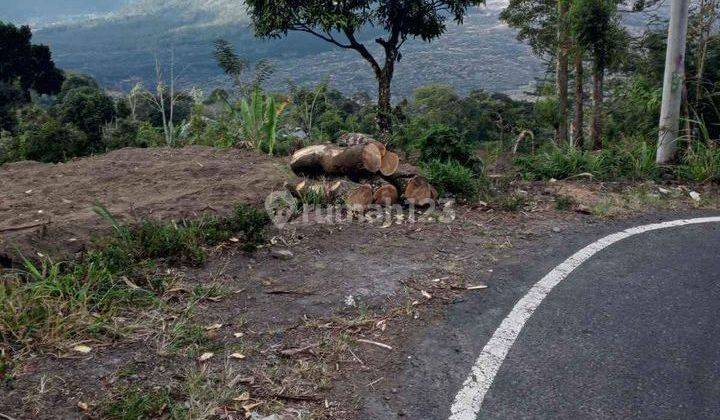 Land with prime view of Mount Batur, Kintamani 2