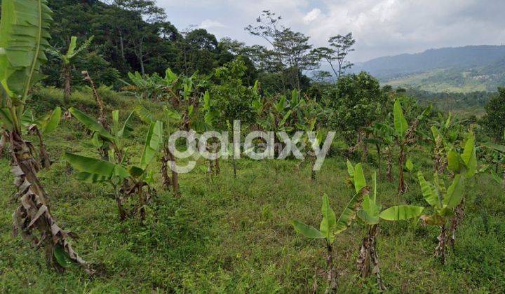 INVESTASI BAGUS TANAH DI BOGOR 2