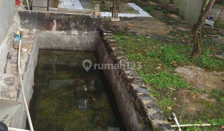 Dijual Rumah Dan Halaman Kolam Ikan Murah  Di Cijeruk Bogor 2