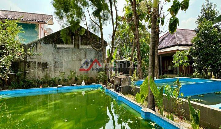 Dijual Rumah Dengan Halaman Luas Hitung Tanah, Sangat Cocok Untuk Rumah Tinggal & Cluster Selangkah Ke Gerbang Tol Krukut di Krukut raya, Krukut 2