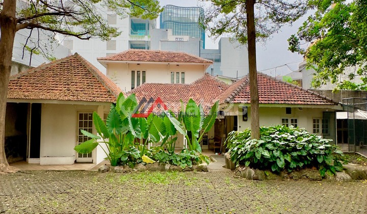 Rumah Halaman Luas Cocok Untuk Kantor Gedung Dan Usaha Rumah Halaman Luas Cocok Untuk Kantor Gedung Dan Usaha