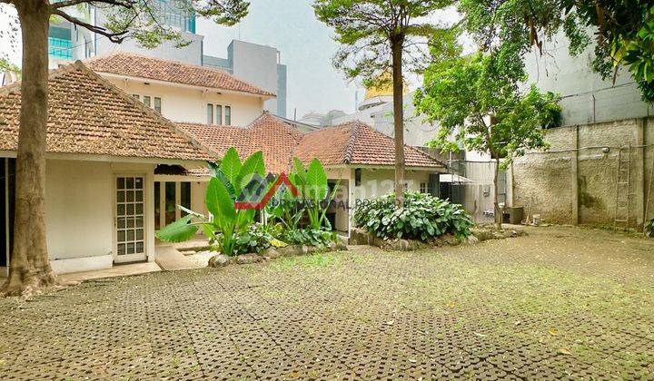 Rumah Halaman Luas Cocok Untuk Kantor Dan Usaha Dekat Gatot Subroto, Kuningan Dan Scbd 1