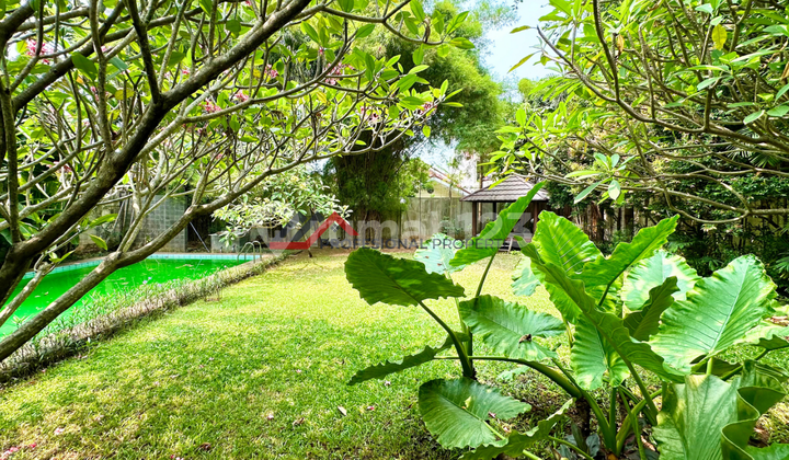 Single-Story House with Spacious and Lush Yard in a Prime Location