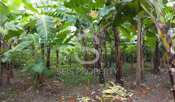 Dijual Tanah Kosong Satria Raya Kota Bandung 3