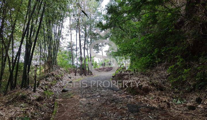 For Sale Tanah Di Ciwidey Kab Bandung 1