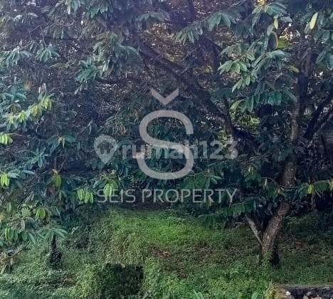 Dijual Rumah Plus Kolam Ikan Aktif Di Cijambe Subang 4