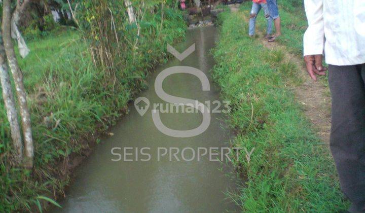 Dijual Tanah Sawah Produktif Di Kab Purworejo Jawa Tengah 6