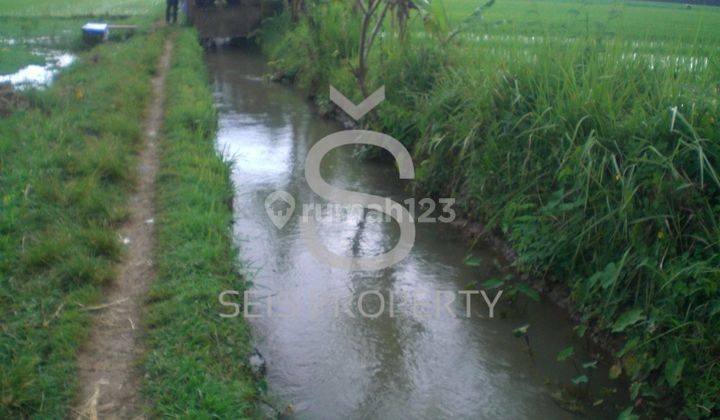 Dijual Tanah Sawah Produktif Di Kab Purworejo Jawa Tengah 7