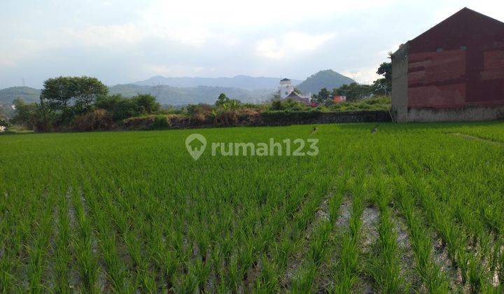 Di Jual Tanah Sawah Mianroad Soreang Bandung 2