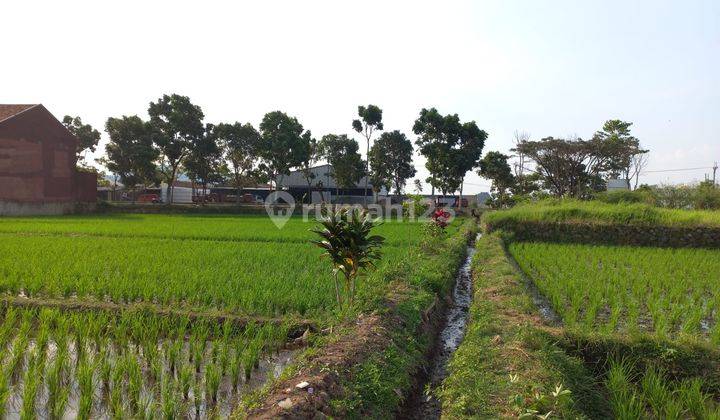 Di Jual Tanah Sawah Mianroad Soreang Bandung 2