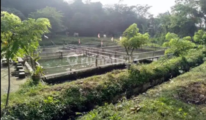 foto lainnya dijual kavling empang dan kebun