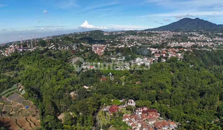 Tanah Murah Banget Lembang Bandung Cocok untuk Resort & Villa Tanah Murah Banget Lembang Bandung Cocok untuk Resort & Villa