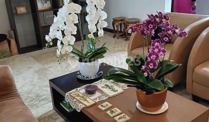 Jual Rumah Minimalis Bandung Utara Daerah Berkembang 2