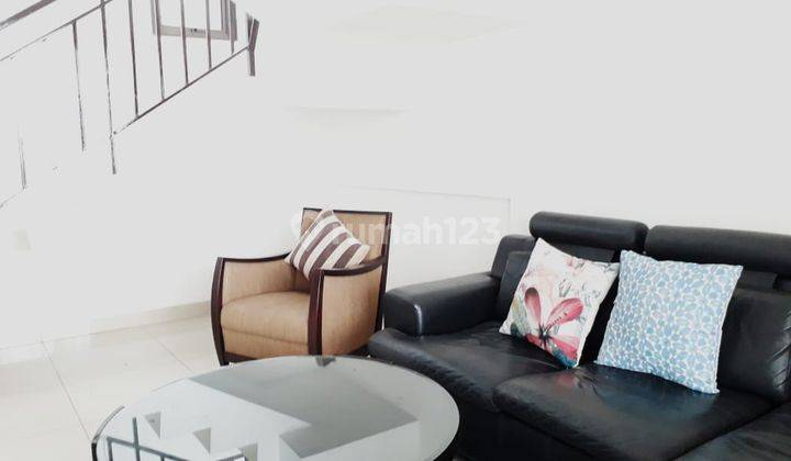 Disewakan Apartemen di Atas Mall, Pet Friendly Cozy and Homie 2