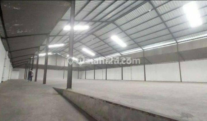DiSewakan Murah GUDANG BARU BESAR KAPUK PETERNAKAN  3