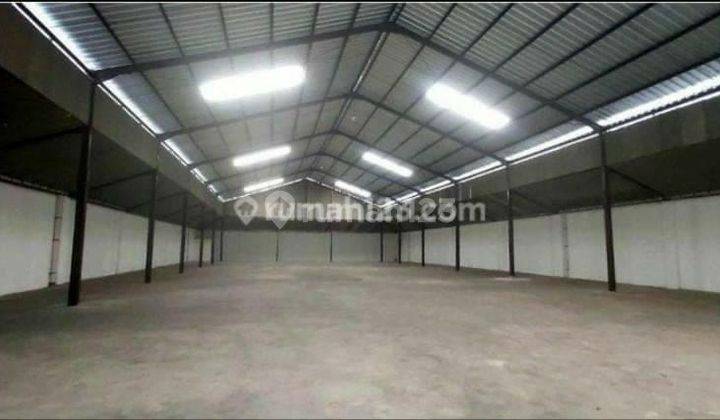DiSewakan Murah GUDANG BARU BESAR KAPUK PETERNAKAN  7