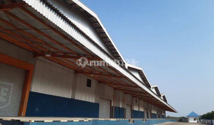 DiSewakan GEDUNG BESAR MARUNDA TANJUNG PRIUK JAKARTA UTARA 6