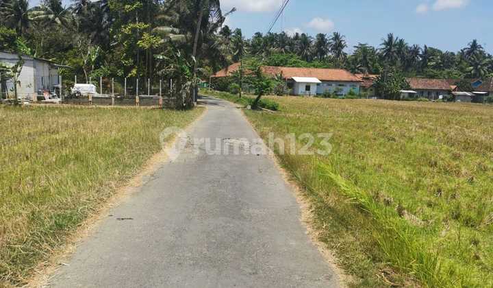 JUAL TANAH DI SLEMAN KULONPROGO TEMON. NGANTONG. DEKAT BANDARA BARU, TOL.. JUAL MURAH BIAR CEPAT 1