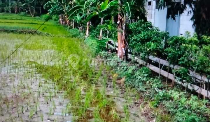 JUAL TANAH DI SLEMAN KULONPROGO TEMON. NGANTONG. DEKAT BANDARA BARU, TOL.. JUAL MURAH BIAR CEPAT 2