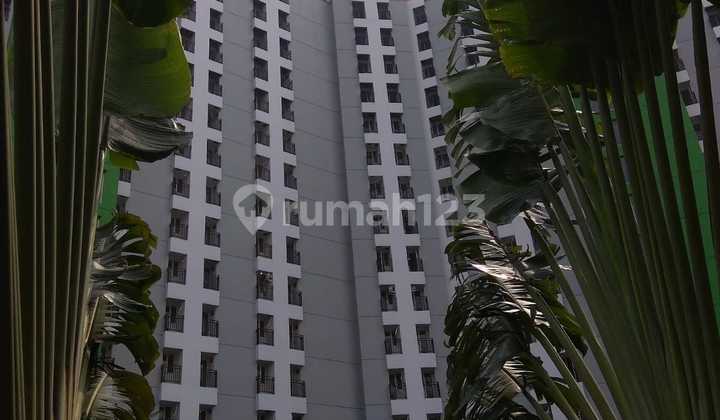Jual Apartemen Green Lake Ciputat 2 Studio Jadi 1. Suasana Apartemen Mahal Tp Apartemen Dijual Murah Jual Apartemen Green Lake Ciputat 2 Studio Jadi 1. Suasana Apartemen Mahal Tp Apartemen Dijual Murah