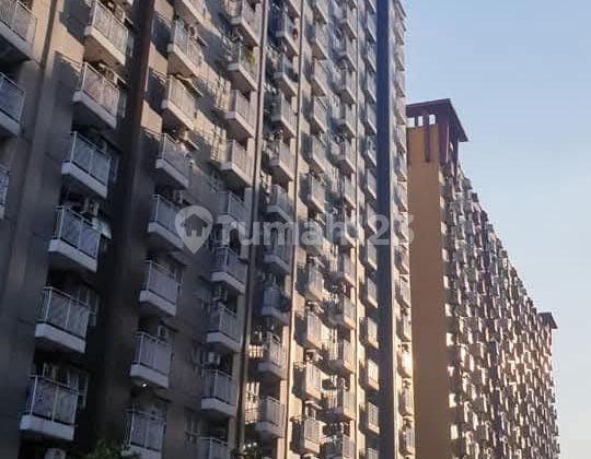 Apartemen Jual Murah Lokasi Dan Akses Strategis Kondisi Bagus 