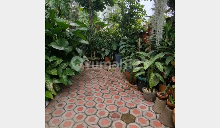 Dijual Rumah Murah 2LT 3BR di Sentul City (Dekat Taman Budaya) 2