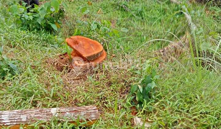 Jual Cepat Tanah 11.170 M2,