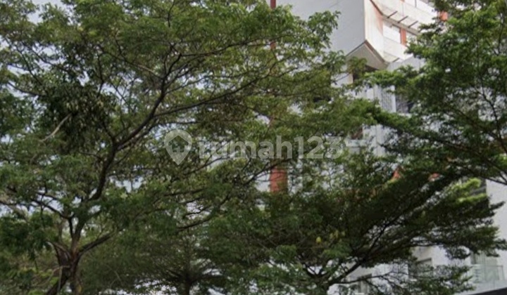 Jarang Ada di Paddington Cocok Utk Anak Kuliah 2