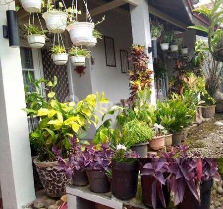  Dijual Rumah Siap Huni 2