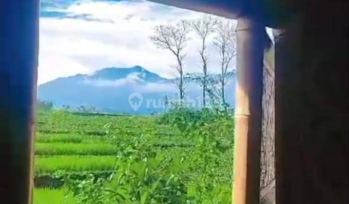 Dijual Bu Cepat Seharga Tanah Sawah Kosongan, Villa Bandung 1