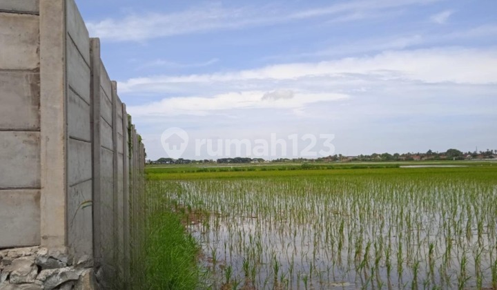 Di Jual Lahan Luas 2.348 M2 shm Di Pinggir jalan raya pasar Kemis 