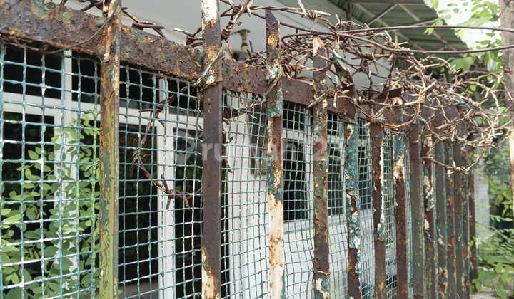 Di Jual Rumah Tua Terawat Cocok Untuk Rumah Tinggal Atau Bangun Kost2an Mangga Besar  2