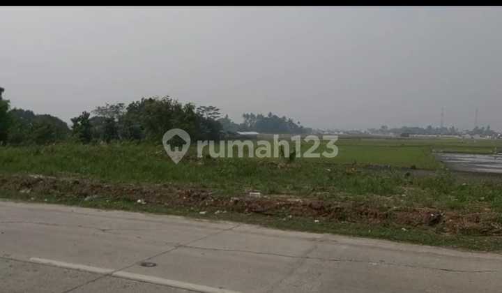 For Sale: Land Area 1.5 Hectares. Mauk, Cirarab, Tangerang.
