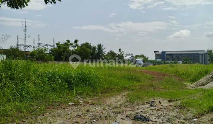 Di Jual Lahan Di Desa Curug Gn Sindur Bogor