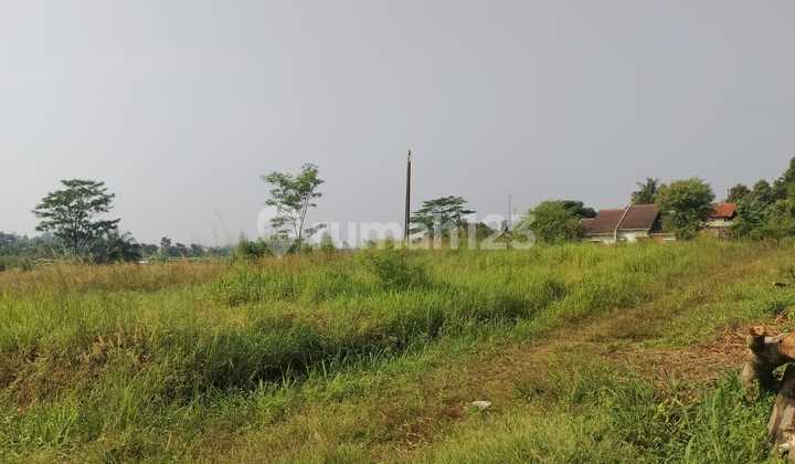Dijual Tanah 11 HA Bonus Peternakan Ayam Telor di Rumpin Bogor