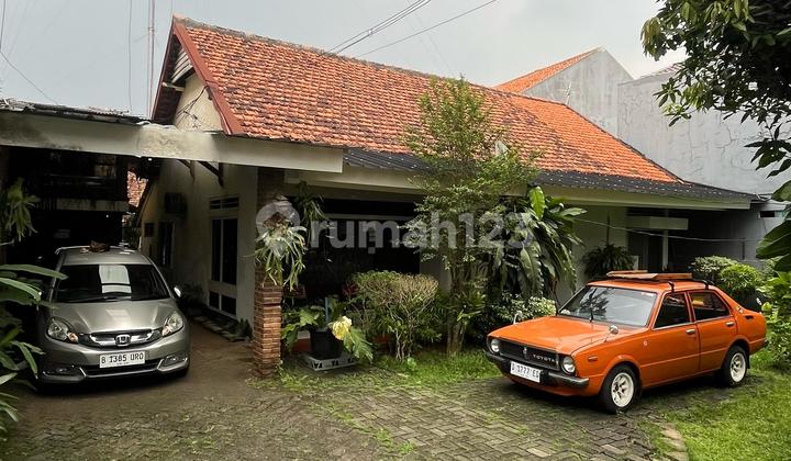 Rumah Bagus Di Cilandak Suasananya Adem Banget Tanah Luas Rumah Bagus Di Cilandak Suasananya Adem Banget Tanah Luas