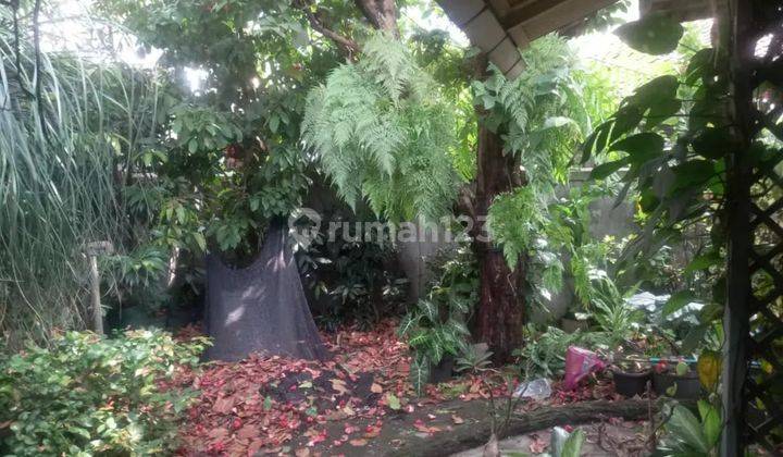 Rumah Bagus Tubagus Ismail 1