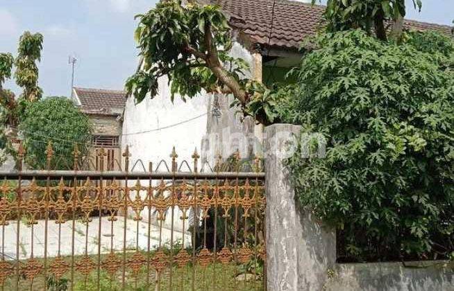 RUMAH TUA TANGERANG HITUNG TANAH 1