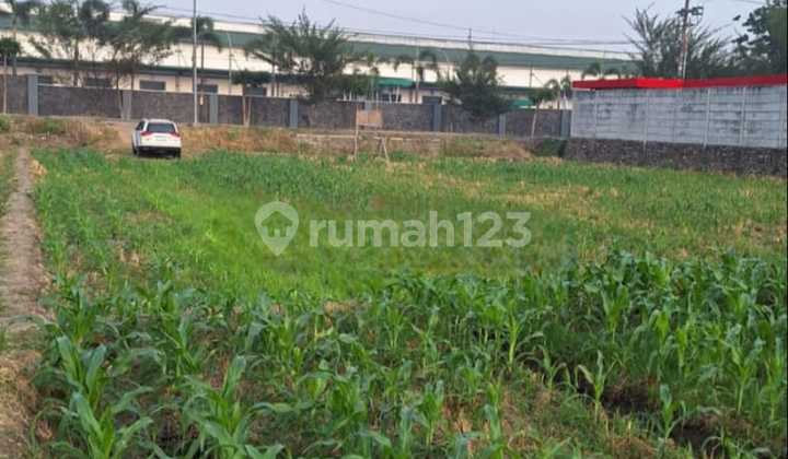 Tanah Plot Industri Strategis Dekat Pabrik Ladaku Mojokerto