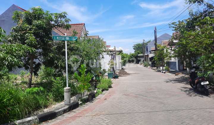 Rumah Siap Huni Baru Renovasi Mulyosari Prima Utara One Gate 2