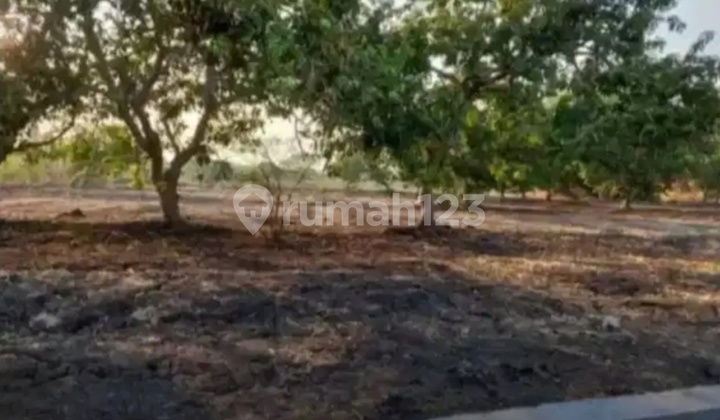 Nego Sampai Deal Tanah Siap Industri Cerme Gresik Nego Sampai Deal Tanah Siap Industri Cerme Gresik