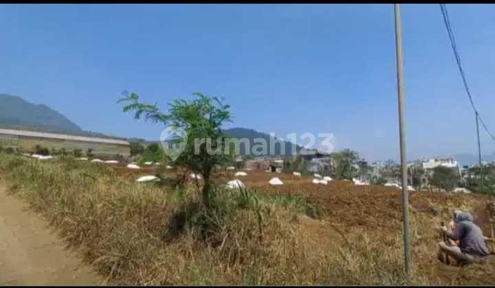 Abdul Gani On Land Ready to Build Near Tourist Area