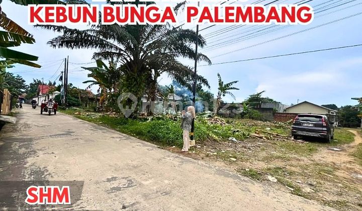Tanah siap bangun di kebun bunga sukarame palembang Tanah siap bangun di kebun bunga sukarame palembang