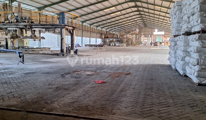 Disewakan Gudang Gunung Putri Bogor Siap Pakai Disewakan Gudang Gunung Putri Bogor Siap Pakai