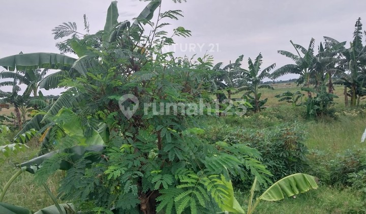 Dijual Tanah Kavling Sukaringin Sukawangi Bekasi