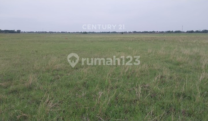 Dijual Tanah Kavling Kavling Kp Genting Sukawangi Bekasi