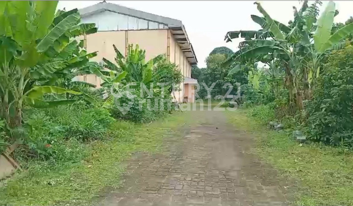 Tanah Komersil Strategis di Lenteng Agung Jaarta Selatan