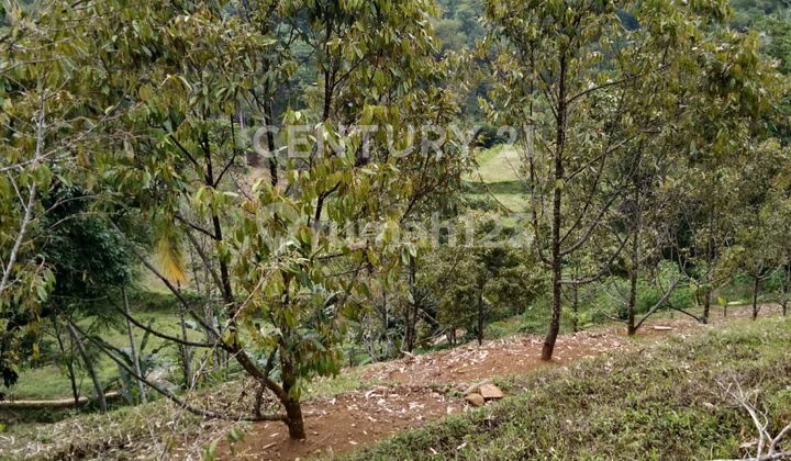 Durian Garden Land and Building in Cidahu Sukabumi