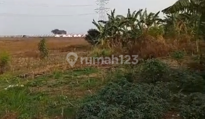 Dijual Segera Tanah Keras Lokasi Strategis Premium Cibitung Dijual Segera Tanah Keras Lokasi Strategis Premium Cibitung