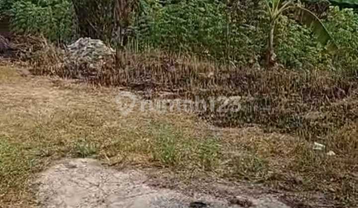 Jual Murah Cepat Nego Tanah Lahan Strategis Gunung Sindur